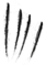 Charr script 4.png