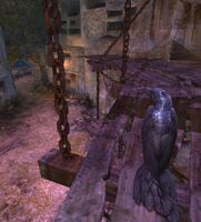 Chase the Spirit from the Aqueduct.jpg