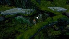 Echovald Wilds Insight- Altrumm Mines Catacomb entrance.jpg