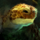 Hard Lamina Siege Turtle.png