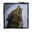 Howl of the Pack.png