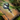 Jungle Magics- Scepter Edition.png