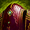 Mini Servitor Golem.png