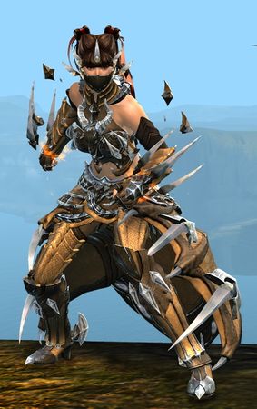 Front view in combat stance
