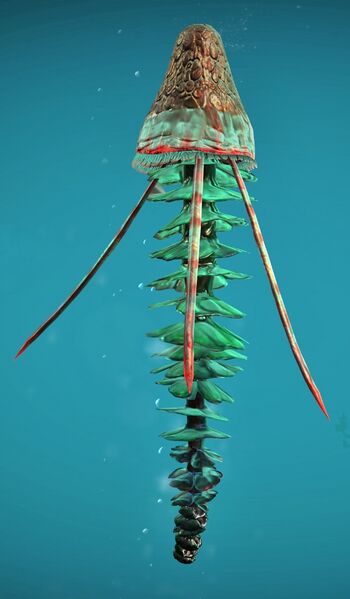 File:Red Jellyfish.jpg
