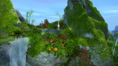 Source of the Springs.jpg