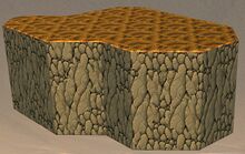 Super Cave Plateau.jpg