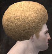 Unique norn male hair side 5.jpg