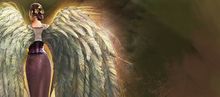 White Wings Glider Combo banner.jpg