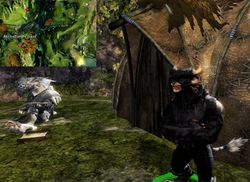 Cato Snapjaw Location.jpg