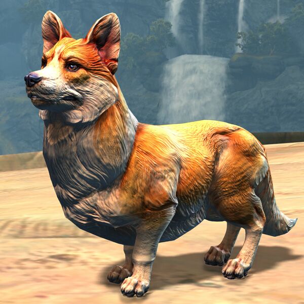 File:Corgi.jpg