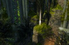 Echovald Wilds Insight- House zu Heltzer.jpg