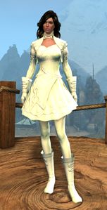 Appearance on light armor.