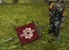 Guild Initiate.jpg