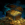 Guild Treasure Trove