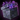 Mini Branded Mounts Pack