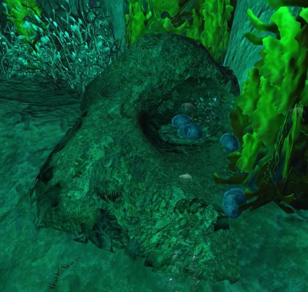 File:Mysterious Egg (Ntouka Pond).jpg