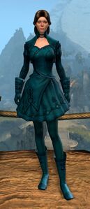 Appearance on light armor.