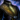 Researcher's Coat.png
