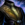 Researcher's Coat.png