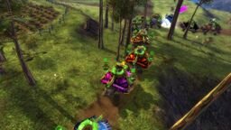 User-FoF turtle-parades 2022 4.jpg