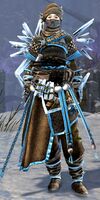 Female Crystal Nomad