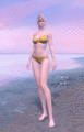 Animation in game.