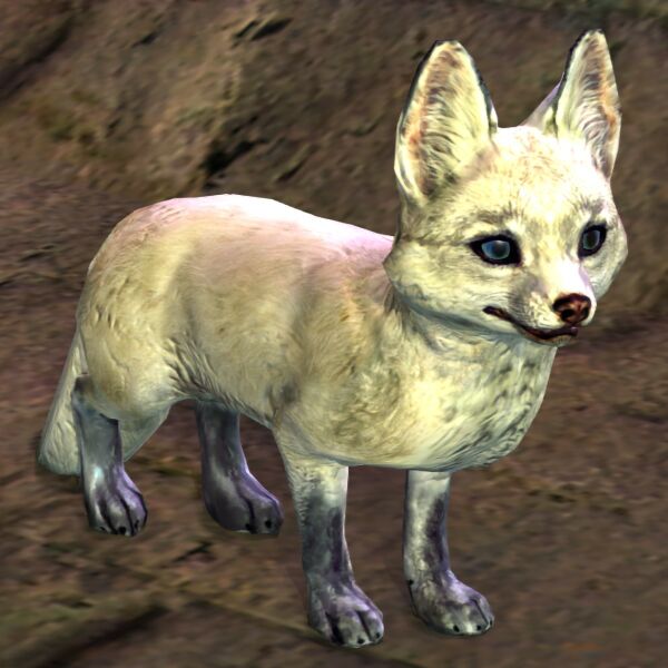 File:Arctic Fox Kit.jpg