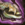 Ardent Glorious Pauldrons.png
