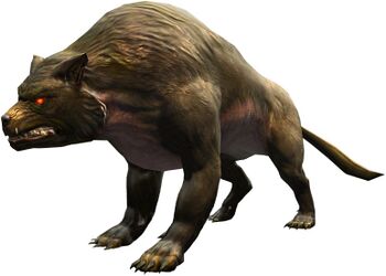 Bestiary Canine.jpg