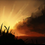 Sylvari awakened at dawn are natural talkers, diplomats, and forward-thinkers. We are intimately connected with our surroundings and markedly empathic toward all, even other races.