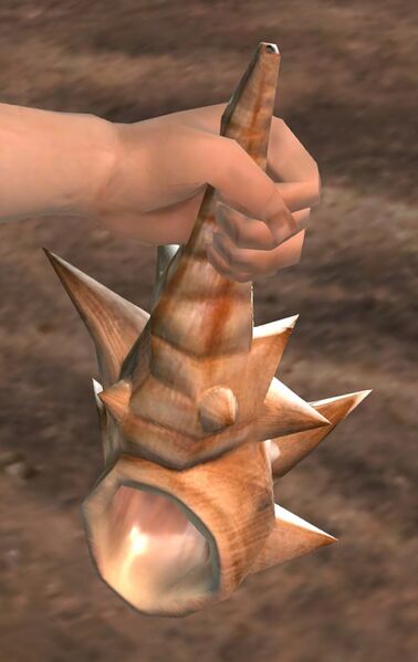 File:Conch.jpg