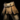 Country Pants.png