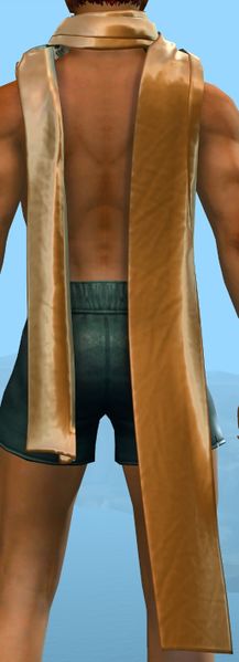 File:Golden Racing Scarf back.jpg
