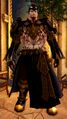 Legendary Castle Lord (weaponless).jpg