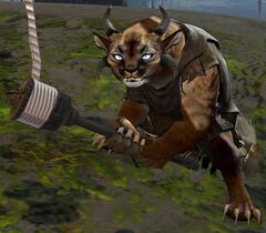Olwyn.jpg