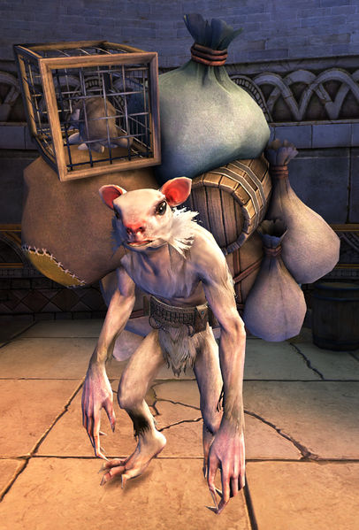 File:Skritt Trader.jpg