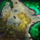 Skyscale Lost—Branded Ley-Line Anomaly.png