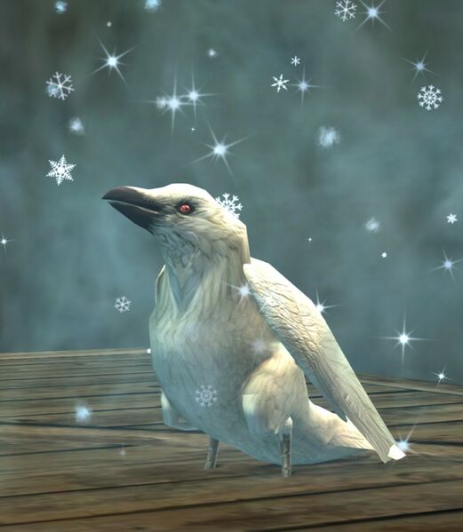 File:Snow Crow.jpg