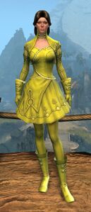 Appearance on light armor.