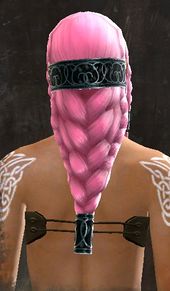 Unique norn female hair back 4.jpg