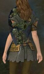 [[PvP Encrusted Shield|Encrusted Shield]]