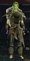 Vigil Recruit sylvari male.jpg