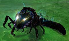 Void Worm.jpg