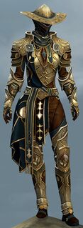 Ward Knight's armor norn female front.jpg