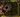 Bloodstone Maw map.jpg