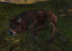Downed Brown Cow.jpg