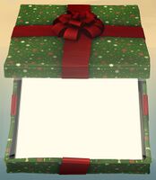 Green Wintersday Gift top.jpg