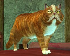 Horrik (cat).jpg