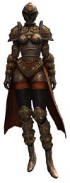 Ironclad Outfit